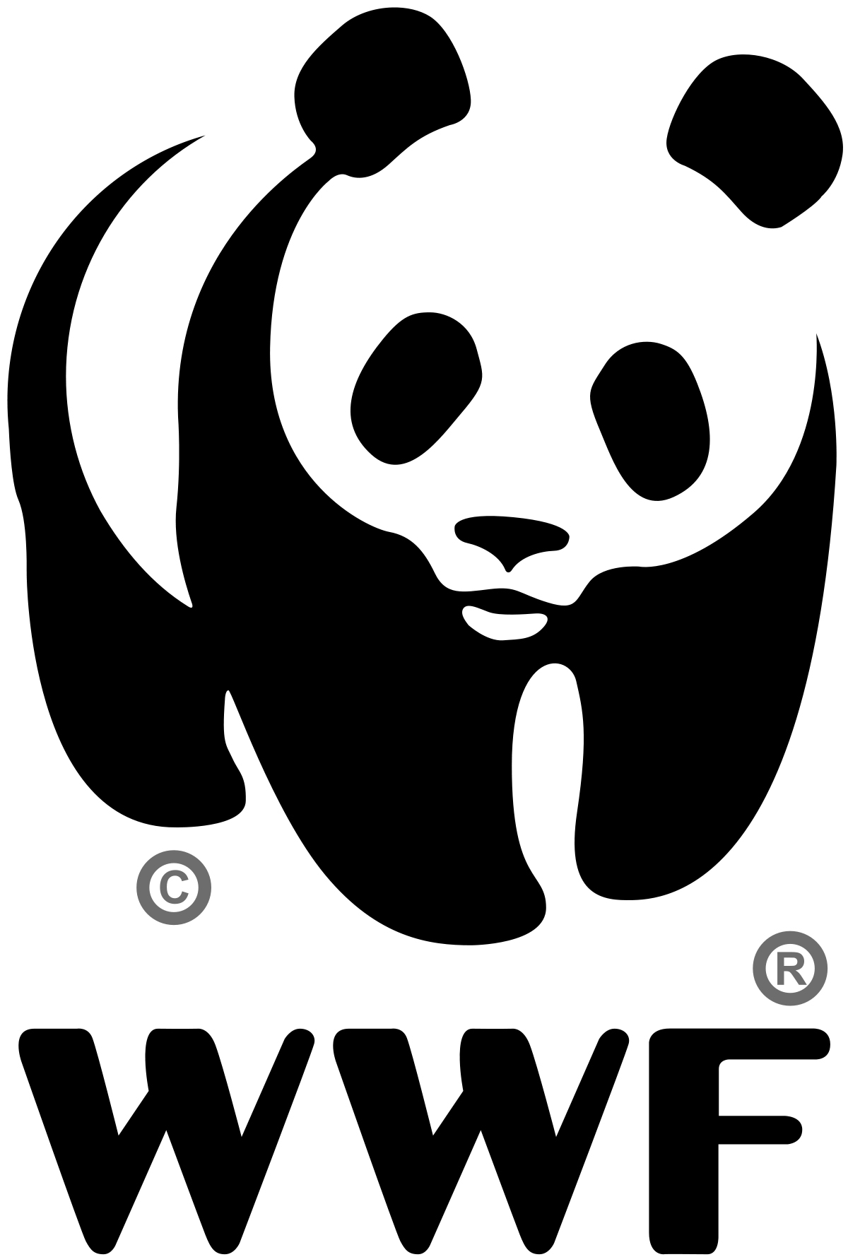 WWF - Bon Ton Toys